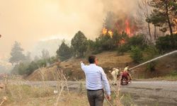 Vali Çelik, “Orman yangını yerleşim yerleri için risk oluşturmuyor”