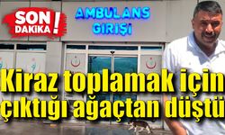 Kiraz toplamak için çıktığı ağaçtan düştü