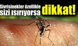 Sivrisinekler özellikle sizi ısırıyorsa dikkat!