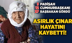3 padişah, 12 cumhurbaşkanı, 27 başbakan gördü: Asırlık çınar hayatını kaybetti!