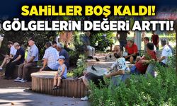 Sahiller boş kaldı: Gölgelerin değeri arttı!