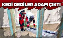 Kedi dediler adam çıktı