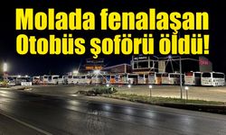 İstanbul'dan Tokat'a giden otobüsün şoförü yolda hayatını kaybetti