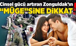 Cinsel gücü artıran Zonguldak’ın “Müge”sine dikkat!