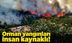 Orman yangınları insan kaynaklı!