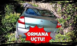 Tünel çıkışı ormana uçtu!