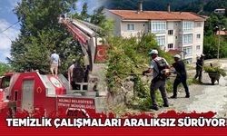 Temizlik çalışmaları aralıksız sürüyor