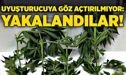 Uyuşturucuya göz açtırılmıyor: Yakalandılar!