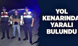 Alaplı’da yol kenarında  yaralı halde bulundu