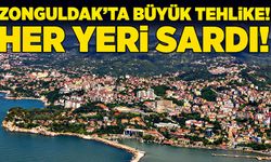 Zonguldak’ta büyük tehlike! Her yeri sardı!