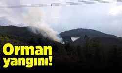 Bolu Mudurnu'da orman yangını! Ekipler seferber edildi