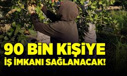 90 bin kişiye iş imkanı sağlanacak