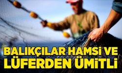 Balıkçılar hamsi ve lüferden ümitli