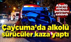 Çaycuma'da alkollü sürücüler polise saldırdı