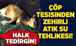 Zonguldak'ta, çöp tesisinden zehirli atık su tehlikesi!