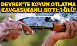 Devrek’te koyun otlatma kavgası kanlı bitti