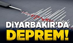 Diyarbakır'da deprem korkuttu!