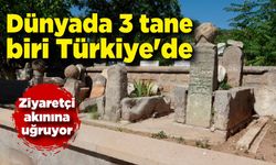 Dünyada 3 tane,  biri Türkiye'de; Ziyaretçi akınına uğruyor