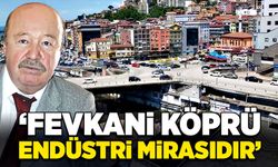 Turhan Demirtaş:  “Fevkani Köprü endüstri mirasıdır”