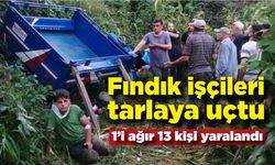 Zonguldak'ta fındık işçileri tarlaya uçtu; 1'i ağır 13 yaralı