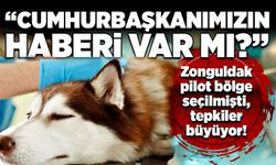 Zonguldak pilot bölge seçilmişti, tepkiler büyüyor! “Cumhurbaşkanımızın haberi var mı?”