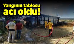 Kastamonu’daki yangın felakete yol açtı!