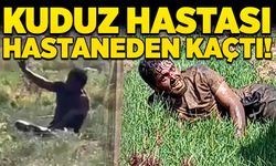 Kuduz hastası hastaneden kaçtı!