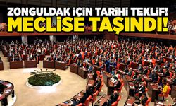 Zonguldak için tarihi teklif! Meclise taşındı!