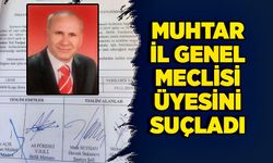 Muhtar İl Genel Meclisi Üyesini suçladı