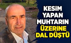 Kesim yapan muhtarın üzerine dal düştü!