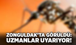 Zonguldak’ta görüldü: Uzmanlar uyarıyor!
