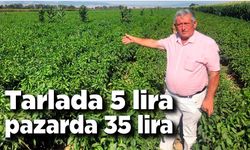 Tarlada 5 liraya pazarda 35 lira