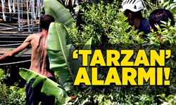 ‘Tarzan’ alarmı!
