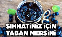 Sıhhatiniz için Yaban Mersini