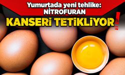 Yumurtada yeni tehlike: Nitrofuran; Kanseri tetikliyor!