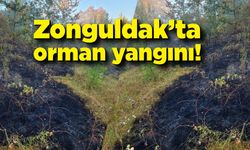Zonguldak’ta orman yangını!