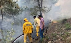 Osmaniye Düziçi ilçesinde orman yangını başladı