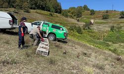 Zonguldak’ta 125 sülün doğaya salındı