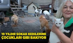 Sokak kedilerine 19 yıldır çocukları gibi bakıyor