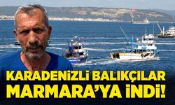 Karadenizli balıkçılar Marmara’ya indi!