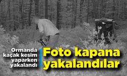 Ormanda kaçak kesim yapan şahıslar foto kapana yakalandı