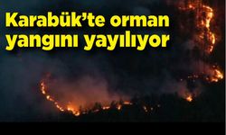 Karabük'te orman yangını devam ediyor