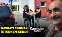 Kavgayı ayırmak isterken kendi canından oldu!