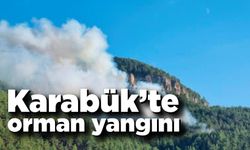  Karabük’te orman yangını