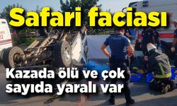 Safari faciası: 1 ölü, 9 yaralı