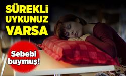 Sürekli uykusuzsanız, sebebi buymuş!