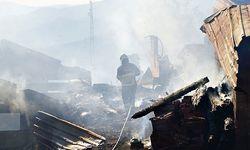 Kastamonu’da 10 ev ve 3 ahırın etkilendiği yangın söndürüldü