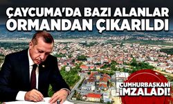 Çaycuma'da bazı alanlar ormandan çıkarıldı. Cumhurbaşkanı imzaladı