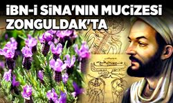 İbn-i Sina'nın mucizesi Zonguldak'ta