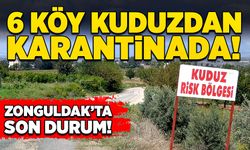 6 köy kuduzdan karantinada! Zonguldak’ta son durum!